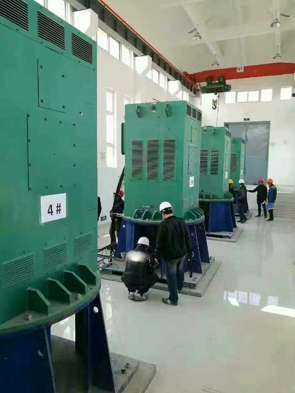 云城某污水处理厂使用我厂的立式高压电机安装现场
